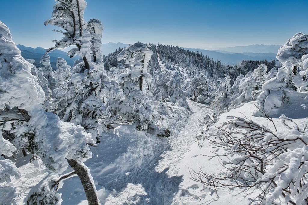 北横岳の樹氷
